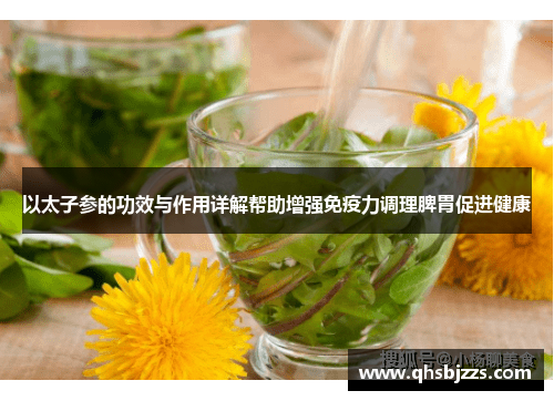 以太子参的功效与作用详解帮助增强免疫力调理脾胃促进健康