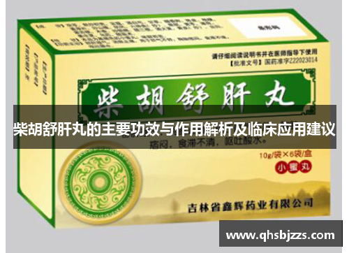 柴胡舒肝丸的主要功效与作用解析及临床应用建议