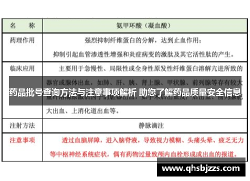 药品批号查询方法与注意事项解析 助您了解药品质量安全信息