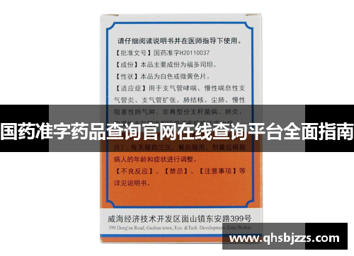 国药准字药品查询官网在线查询平台全面指南
