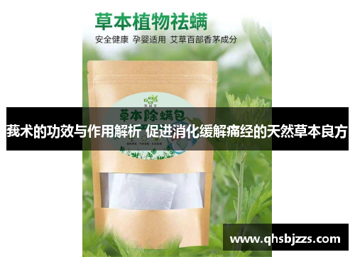 莪术的功效与作用解析 促进消化缓解痛经的天然草本良方